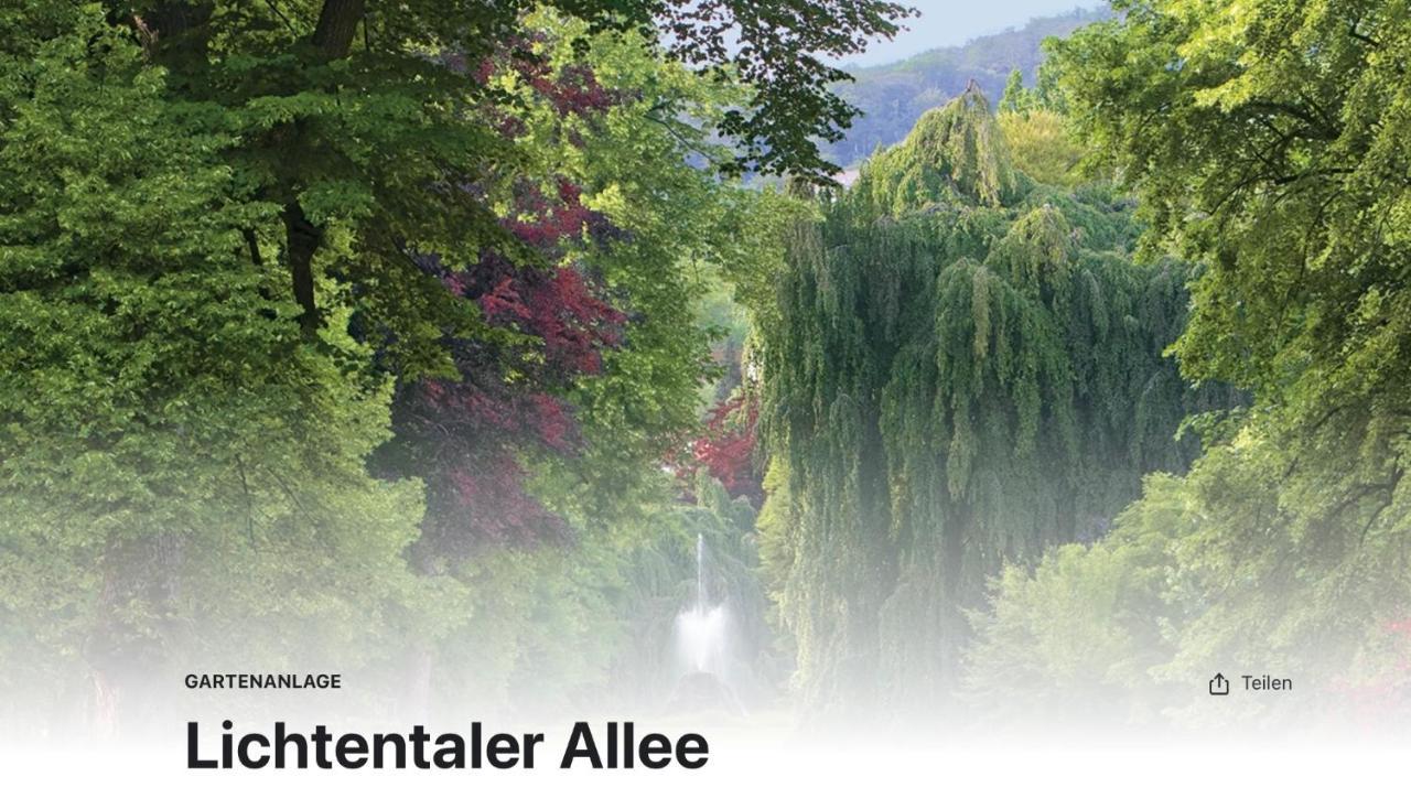 Luxus Apartment Am Fremersberg - Zentral - Mit Sauna & Badewanne 巴登-巴登 外观 照片